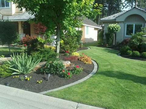 Yard & Property Maintenance - Increase Your Property Value